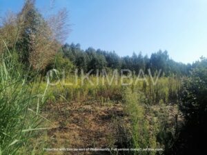 terreno-serra-do-bouro-clikimbav-venda