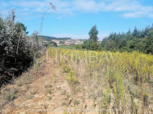 terreno-serra-do-bouro-clikimbav-venda