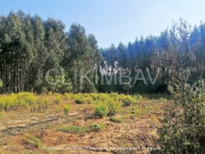 terreno-serra-do-bouro-clikimbav-venda