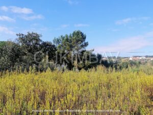 terreno-serra-do-bouro-clikimbav-venda