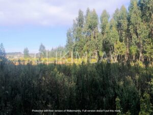 terreno-serra-do-bouro-clikimbav-venda