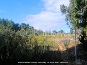 terreno-serra-do-bouro-clikimbav-venda