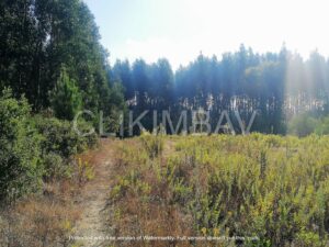 terreno-serra-do-bouro-clikimbav-venda