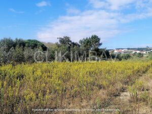 terreno-serra-do-bouro-clikimbav-venda