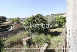 armazem-alcanena-clikimbav