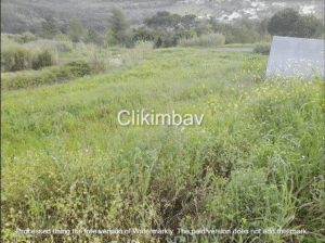 terreno-vidais-caldas-rainha-clikimbav