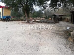 moradia-casal-santa-iria-ferreira-zezere-clikimbav