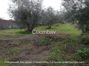 terreno-maceira-leiria-clikimbav