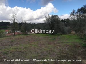 terreno-maceira-leiria-clikimbav