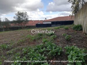 terreno-maceira-leiria-clikimbav