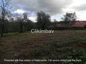 terreno-maceira-leiria-clikimbav