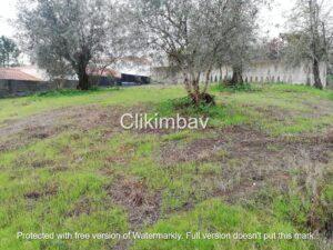 terreno-maceira-leiria-clikimbav